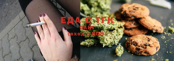 стаф Богданович