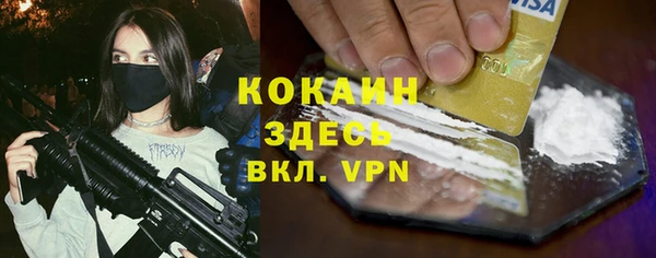 стаф Богданович