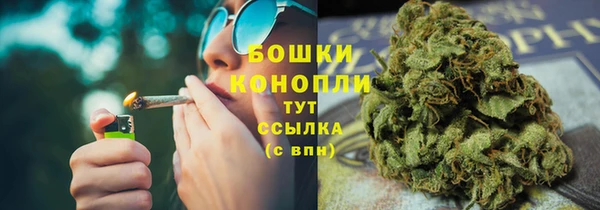 стаф Богданович