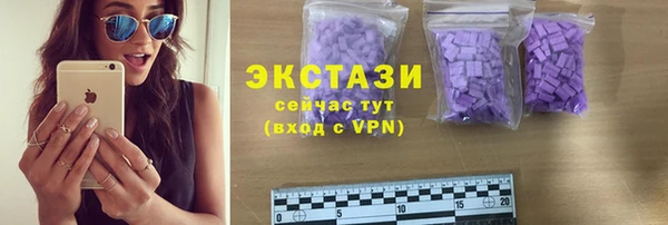 стаф Богданович