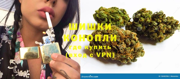 стаф Богданович