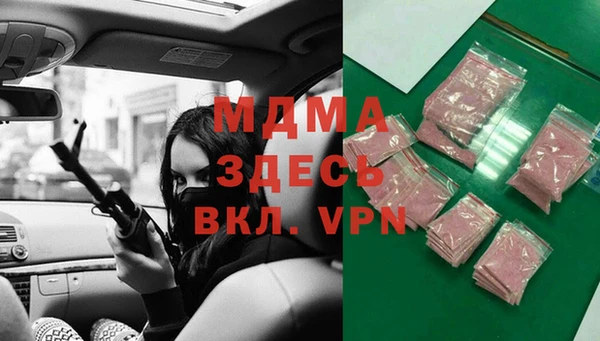 стаф Богданович