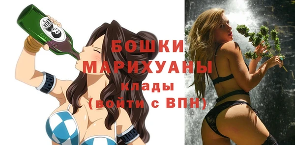 хмурый Богородицк