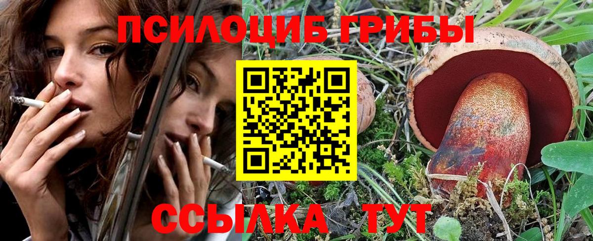 Галлюциногенные грибы прущие грибы  Галлюциногенные грибы мухоморы  Вход с VPN  Сланцы 